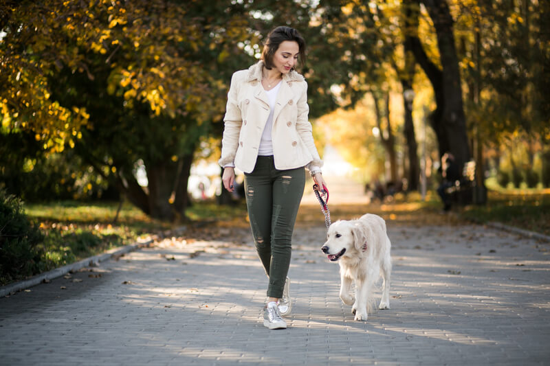 wag caregiver walks dog