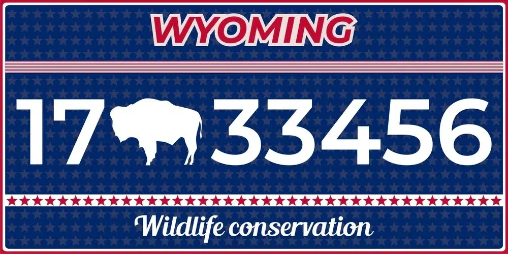 irs-mileage-rate-wyoming