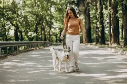 Wag caregiver walks dog in the park