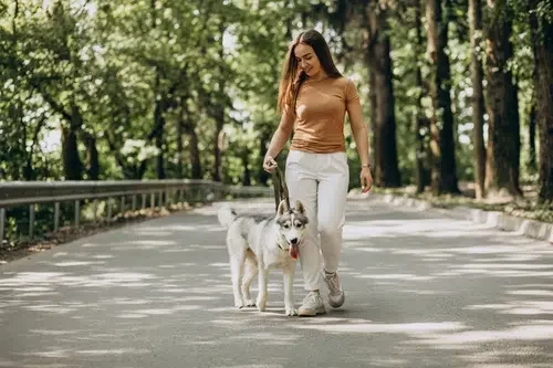 Wag caregiver walks dog in the park